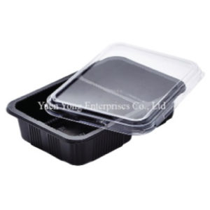 Food container - lunch box model YYE250G-2