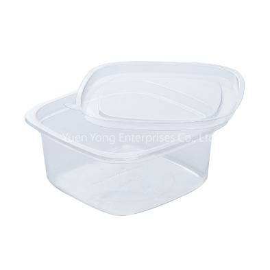 Clear Plastic Salad Box YYE-55