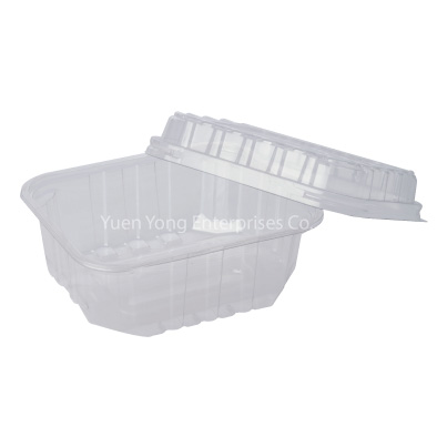 Clear Plastic Salad Box YYE-58
