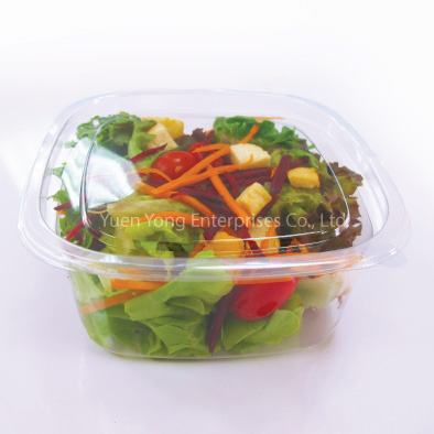 Plastic Salad Bowls model YYE-55_2