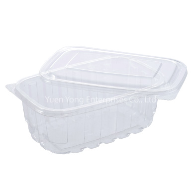 Plastic Food Containers FC500-1