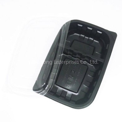 Plastic Food Containers FC200-2