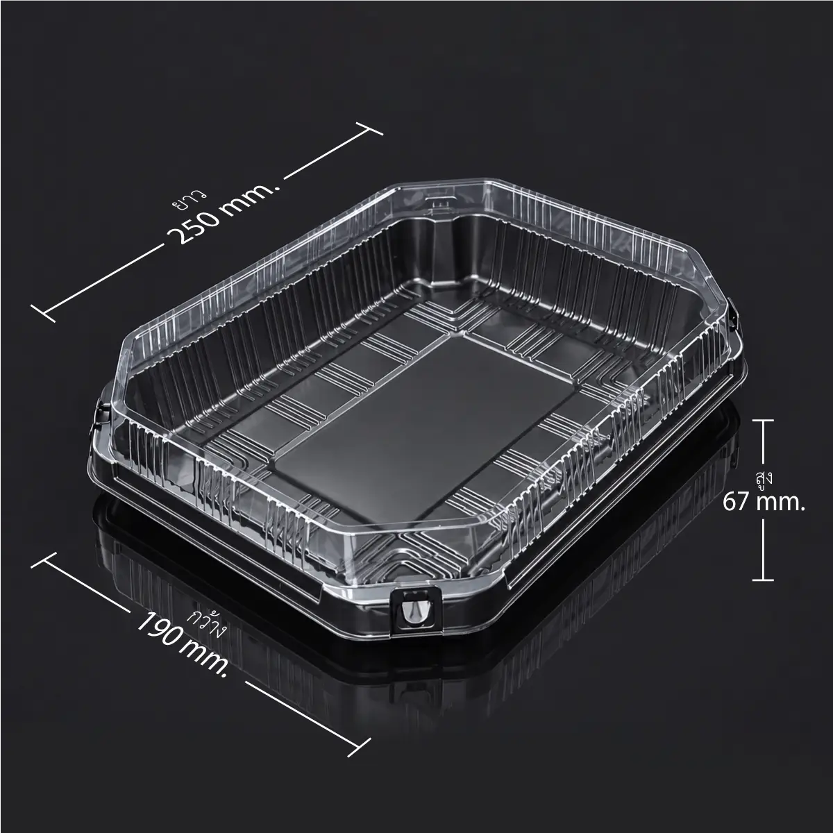 YRL-08-ISO-size กล่องอาหารฝาล็อก ฝาใสทรงสูง YRL-08 ขนาด 190x250x67 mm. ความจุ 1250 ml